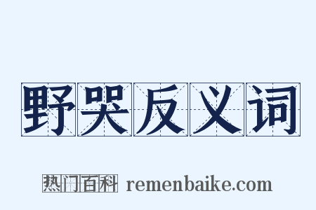 野哭反义词是什么意思的图片